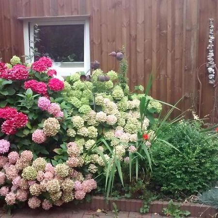 1 Raum Appartement Mit Kuechenzeile In Kappeln Esterno foto