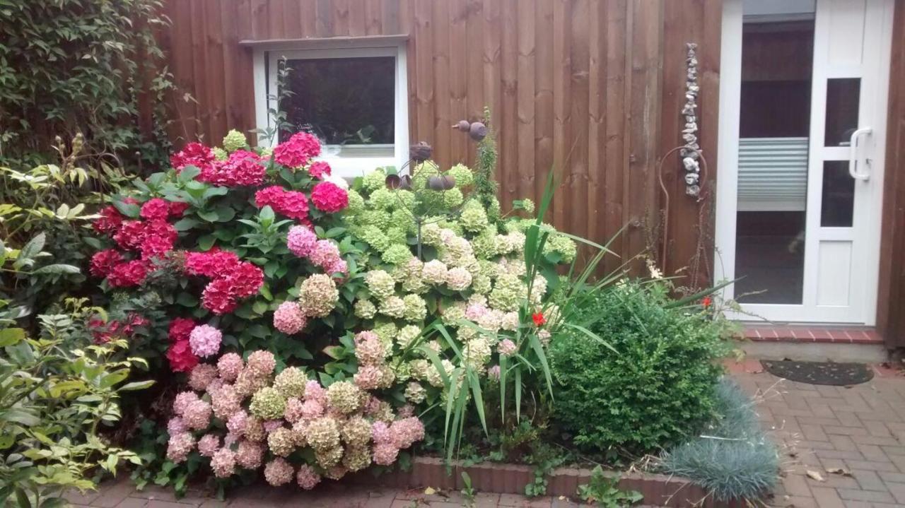1 Raum Appartement Mit Kuechenzeile In Kappeln Esterno foto